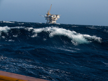 2931160632 b69851f805 resized 600